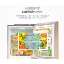 【新品】美的(Midea)冰箱三门 小型家用 无霜变频冰箱 三门冰箱 BCD-252WTPM(E)