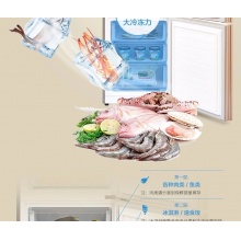 【新品】美的(Midea)冰箱三门 小型家用 无霜变频冰箱 三门冰箱 BCD-252WTPM(E)