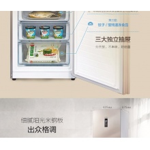 【新品】美的(Midea)冰箱三门 小型家用 无霜变频冰箱 三门冰箱 BCD-252WTPM(E)